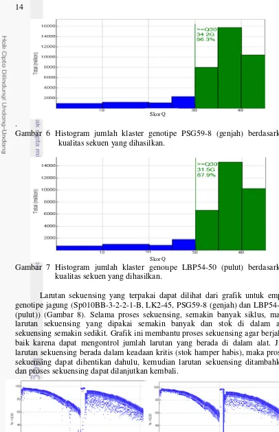 Gambar 7 Histogram jumlah klaster genotipe LBP54-50 (pulut) berdasarkan 