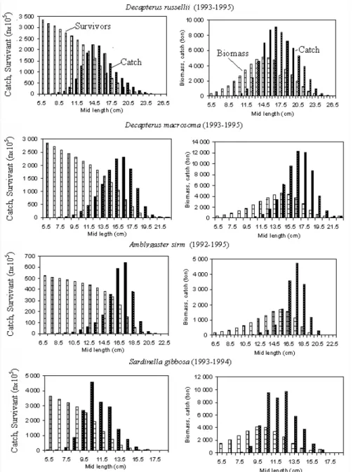 Gambar 5. Struktur populasi dan hasil tangkapan dari empat spesies pelagis berbagai periode sampling (Sadhotomo, 1998)
