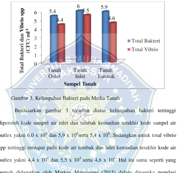 Gambar 3. Kelimpahan Bakteri pada Media Tanah  