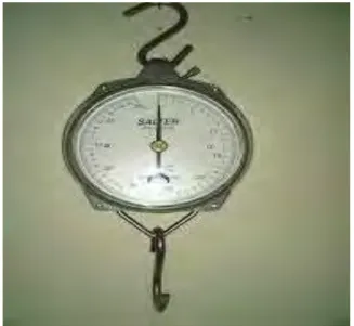 Gambar 13Timbangan Salter                                                              Sumber : https://www.google.com 