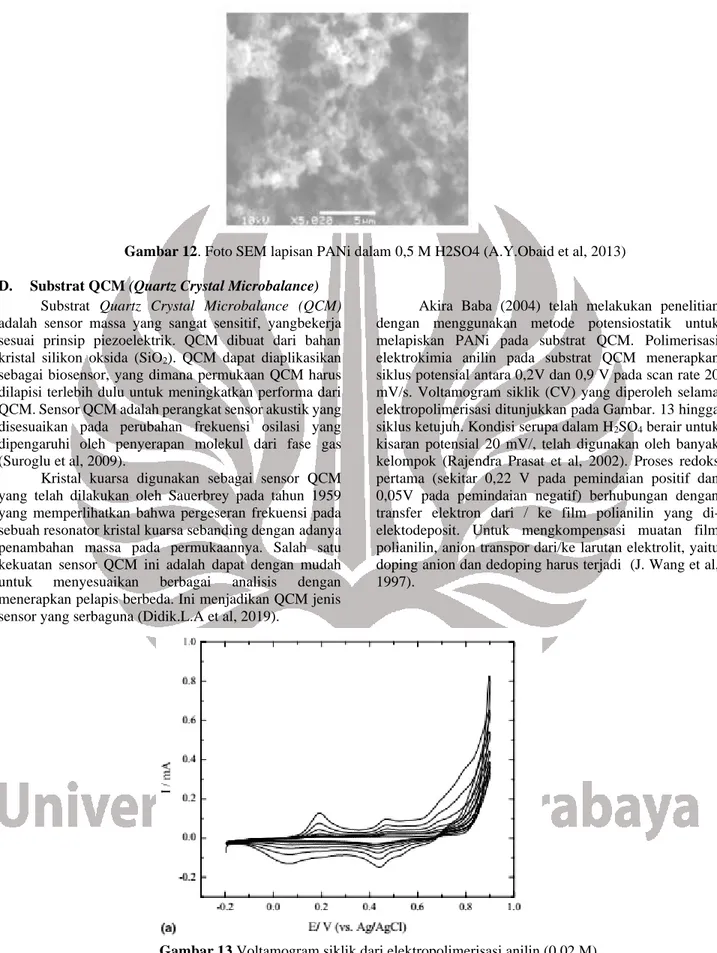 Gambar 12. Foto SEM lapisan PANi dalam 0,5 M H2SO4 (A.Y.Obaid et al, 2013)  D.  Substrat QCM (Quartz Crystal Microbalance) 