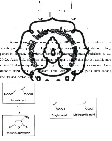 Gambar 3. Isomeri asam itakonat 