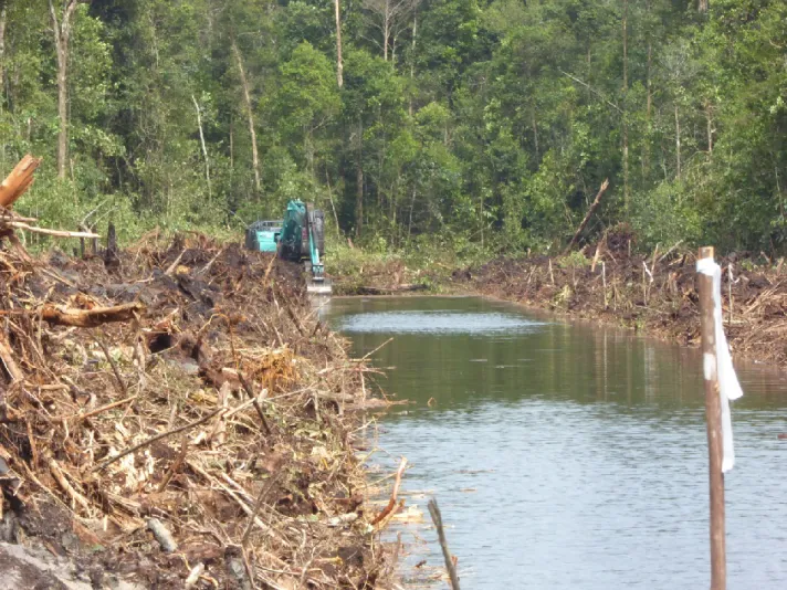 Foto sampul:atas – Penggalian kanal gambut oleh PT Muara Sungai Landak yang bisa merusak ekosistem gambut dan  