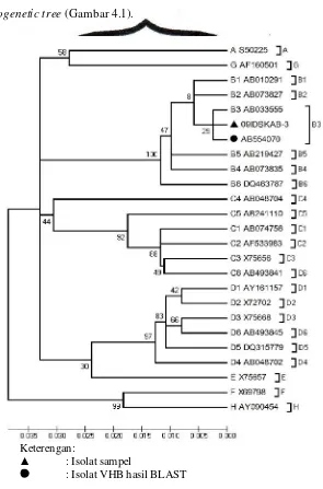 Gambar 4.1 Phylogenetic Tree Berdasarkan Regio Pre-S1, Pre-S2, dan S Isolat VHB 09IDSKAB-3 yang Dibandingkan dengan Reference Sequences dari Masing-Masing Genotipe VHB (A-H)