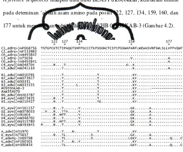 Gambar 4.2 Penyejajaran Asam Amino Posisi 116-183 Regio S (determinan ‘a’) dari Isolat VHB 09IDSKAB-3 dengan Reference Sequences Subtipe VHB