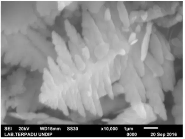 Gambar 6. Morfologi kristal dengan  konsentrasi larutan 3000 ppm dengan 