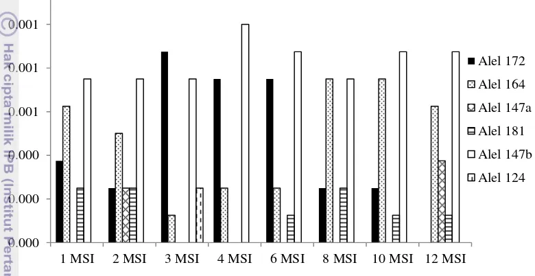 Gambar 9  Frekuensi alel pada populasi bibit yang diinokulasi F. solani asal 