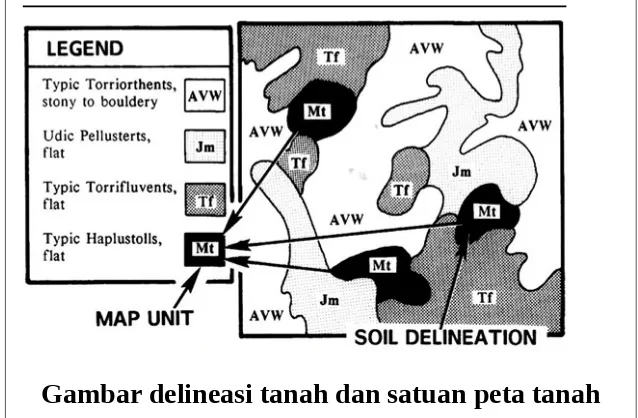 Gambar delineasi tanah dan satuan peta tanah