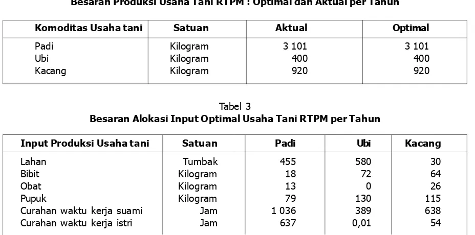 Tabel 3Besaran Alokasi Input Optimal Usaha Tani RTPM per Tahun