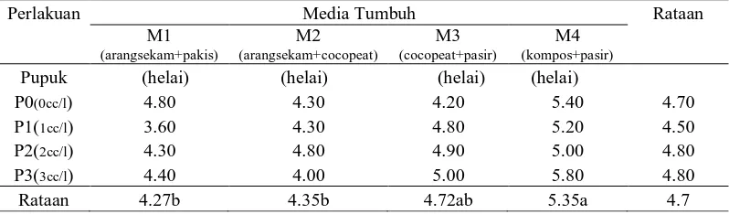 Tabel 4. Jumlah daun dari perlakuan media tumbuh, konsentrasi pupuk dan interaksi antara media tumbuh dengan konsentrasi pupuk