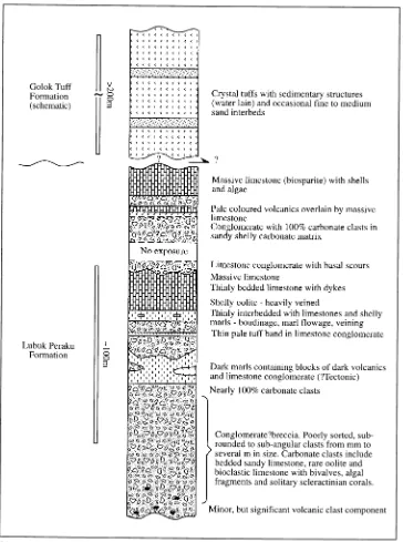 Fig. 6. Columnar section through the Lubuk Peraku Limestone and the Golok Tuff, measured in the Lubuk Peraku river section (from McCarthy et al., 2001).