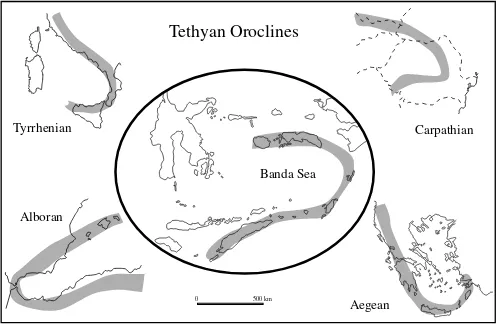 Fig. 2. The Banda, Tyrrhenian, Alboran, Aegean and Carpathian oroclines, at common scale.