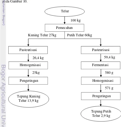 Gambar 9 Tepung putih telur dan tepung kuning telur 