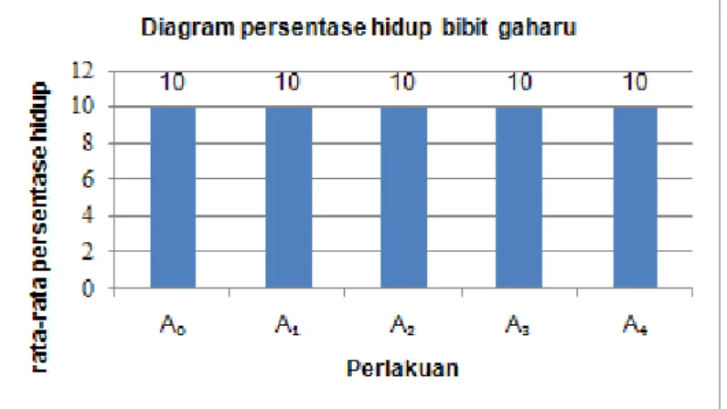 Tabel  2.  Menunjukan  bahwa  rata-rata  persentase  hidup  semai  gaharu  dari  5  perlakuan  konsentrasi  pupuk  yang  berbeda  menghasilkan  persentase  hidup  100%  dan  tergolong  sangat  baik