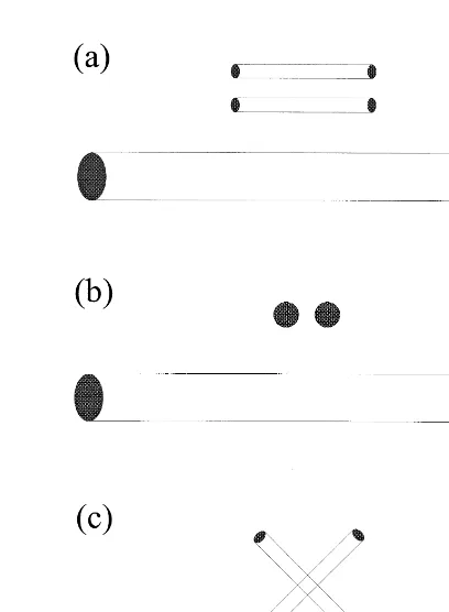 Fig. 2. Examples of GPR surveys using linearly polarizedcoincident common-offset with small separation antennasŽ.to image cylinders