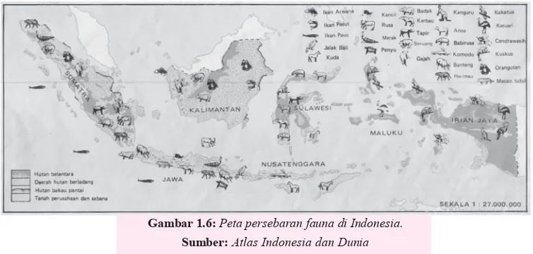 Gambar 1.6: Peta persebaran fauna di Indonesia.