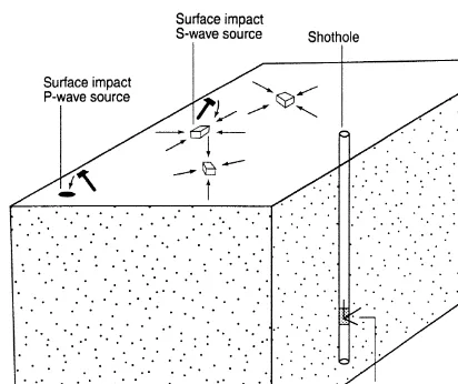 Fig. 3. Acquisition geometry for shear wave to boreholestudy in Wyoming.