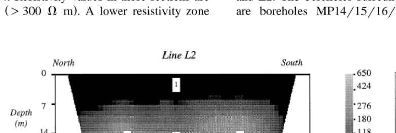 Fig. 8. Resistivity inversion model for line L1.