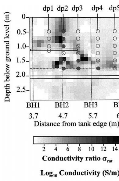 Fig. 11. Sampled fluid conductivity compared to modelledconductivity ratio at 48 locations; well dp6 is shown toillustrate conductivity away from boreholes and tracer.