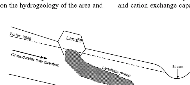 Fig. 2. Geometry of typical 3-D contaminant plume migrating downgradient from a landfill site.