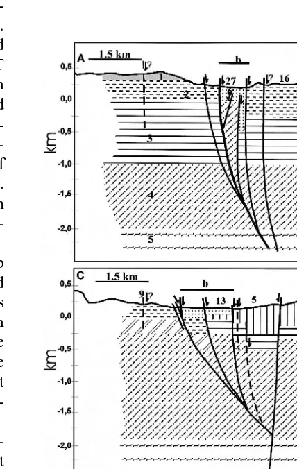 Fig. 6. Interpreted geological cross section for A–B andC–D lines. Numbers on the topographic line represent theapproximate location of the MT sites