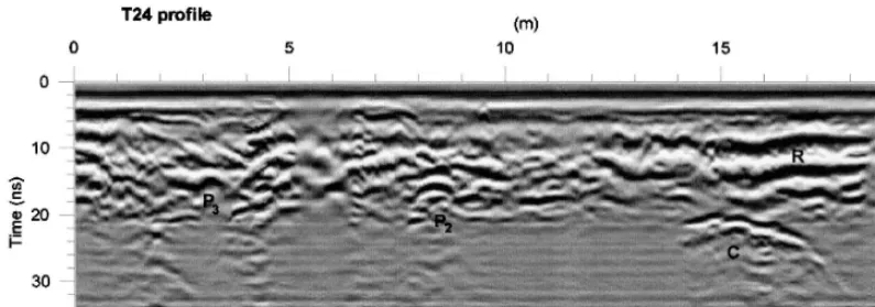 Fig. 10. Migrated radar section obtained applying Kirchhoff migration to the section from T24 profile shown in Fig