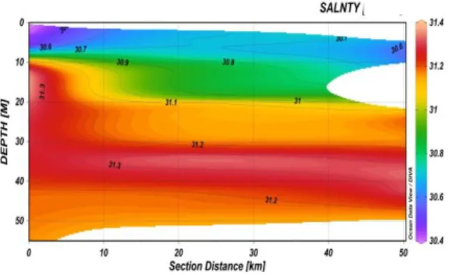 Gambar  8.  Profil  Vertikal  Sebaran  Salinitas  di Perairan Utara Bengkalis  Pola  sebaran  horisontal  /  melintang  salinitas setiap stasiun pada titik sampling 1  – 3 lebih rendah dibandingkan titik sampling  6  –  25,  rendah  nya  salinitas  kemungk