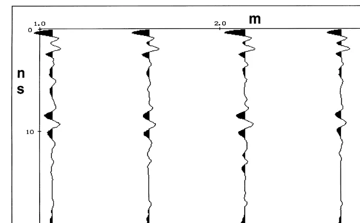 Fig. 7. Dataset after stack eight-fold .Ž.