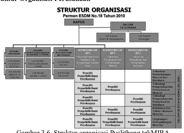 Gambar 3.6. Struktur organisasi Puslitbang tekMIRA (sumber: Struktur Organisasi, 