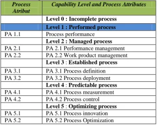 Gambar 1. Process Assessment Model [6]. 