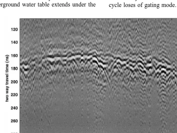 Fig. 7. Gated image of the water table taken along a 120 m survey of an elevated track