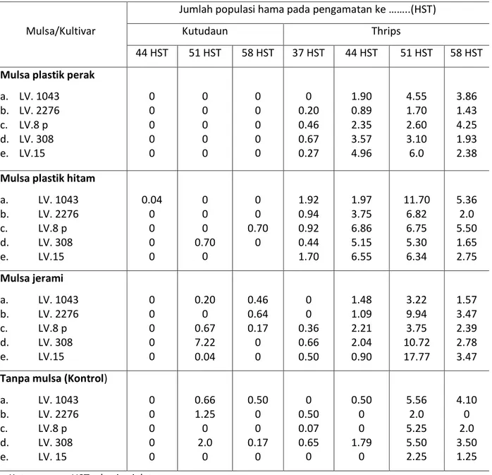 Tabel 2. Rata-rata populsai hama kutudaun dan thrips pada tanaman mentimun  Mulsa/Kultivar 