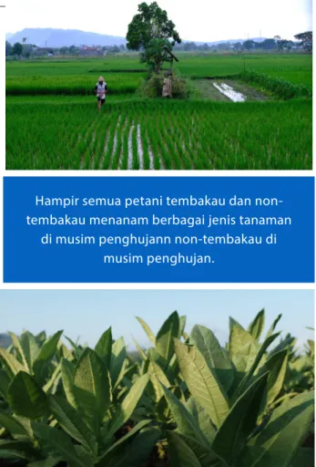 GAMBAR ES 1