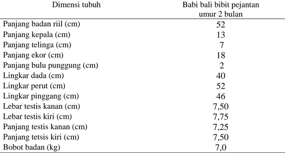 Tabel 1. Dimensi tubuh dan kondisi testis babi bali bibit pejantan di wilayah Nusa Penida   Dimensi tubuh  Babi bali bibit pejantan 