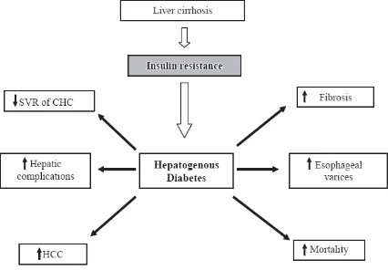 Gambar 1. pengaruh HD dan resistensi insulin pada penyakit hati kronis 30 