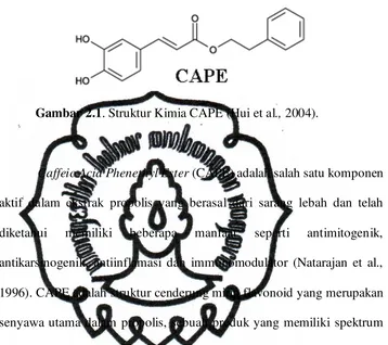 Gambar 2.1. Struktur Kimia CAPE (Hui et al., 2004). 