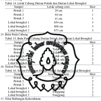 Tabel 14. Letak Cabang Durian Petruk dan Durian Lokal Brongkol 