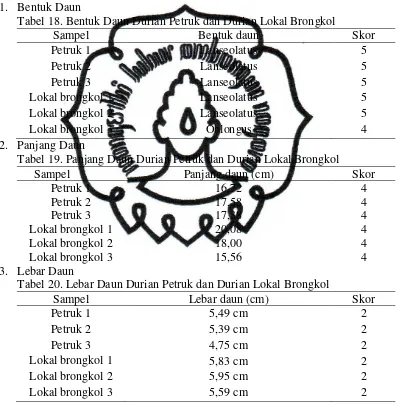 Tabel 18. Bentuk Daun Durian Petruk dan Durian Lokal Brongkol 