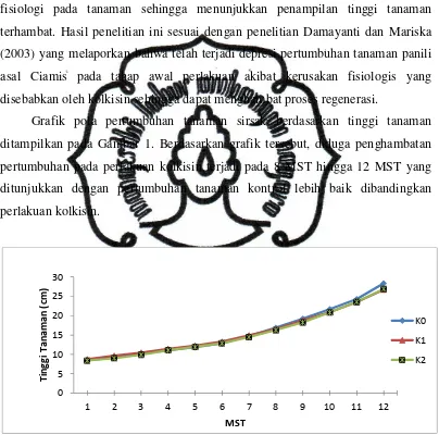 Grafik pola pertumbuhan tanaman sirsak berdasarkan tinggi tanaman 
