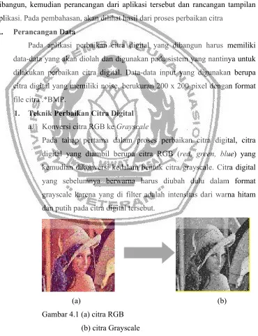Gambar 4.1 (a) citra RGB