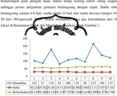 Gambar 1. Hubungan suhu dan kelembaban terhadap fekunditas WBC di Kec. Mojolaban dan Kec