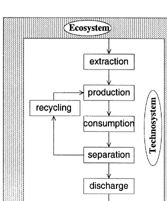 Fig. 1. The process}product scheme of a linear chain.