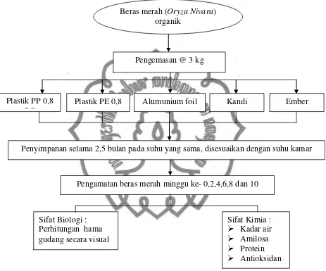 Gambar 3.1 Tahapan Penelitian Beras Merah (Oryza Nivara) Organik 