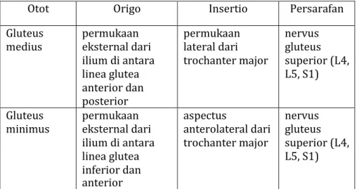 Tabel 4. Otot-otot abduktor panggul 