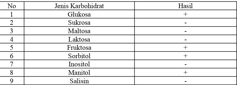 Tabel 4.4 Uji Karbohidrat untuk Koloni Bakteri B