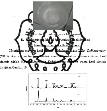 Gambar 9. Foto senyawa hasil sintesis