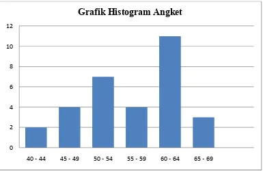 Grafik Histogram Angket