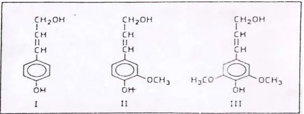 Gambar 1. Unit pembentuk lignin: P-koumaril alkohol (I), koniferil alkohol 