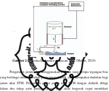 Gambar 2.6. Skema komponen penyusun STM (Muller, 2010) 