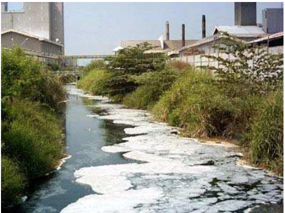 Gambar  4.4 Limbah Industri Perusahaan Mencemari Sungai dan Udara Sekitarnya Sumber: www.e-dukasi.net/.../mp_178/materi6.html 